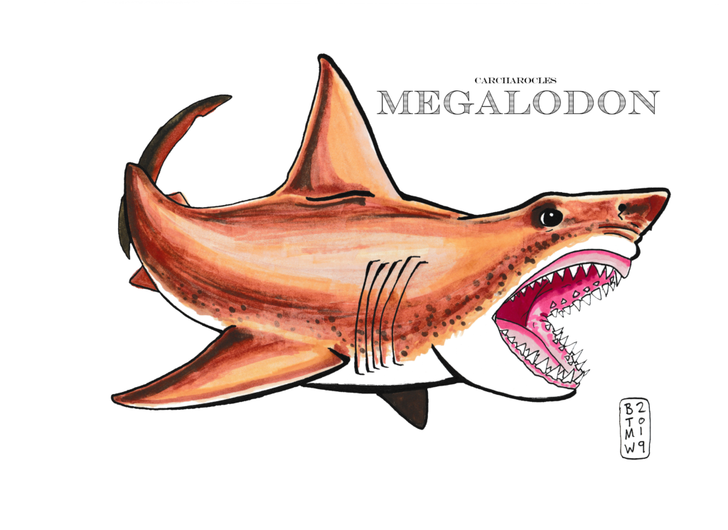 PaleoArt Casco Bay Studios