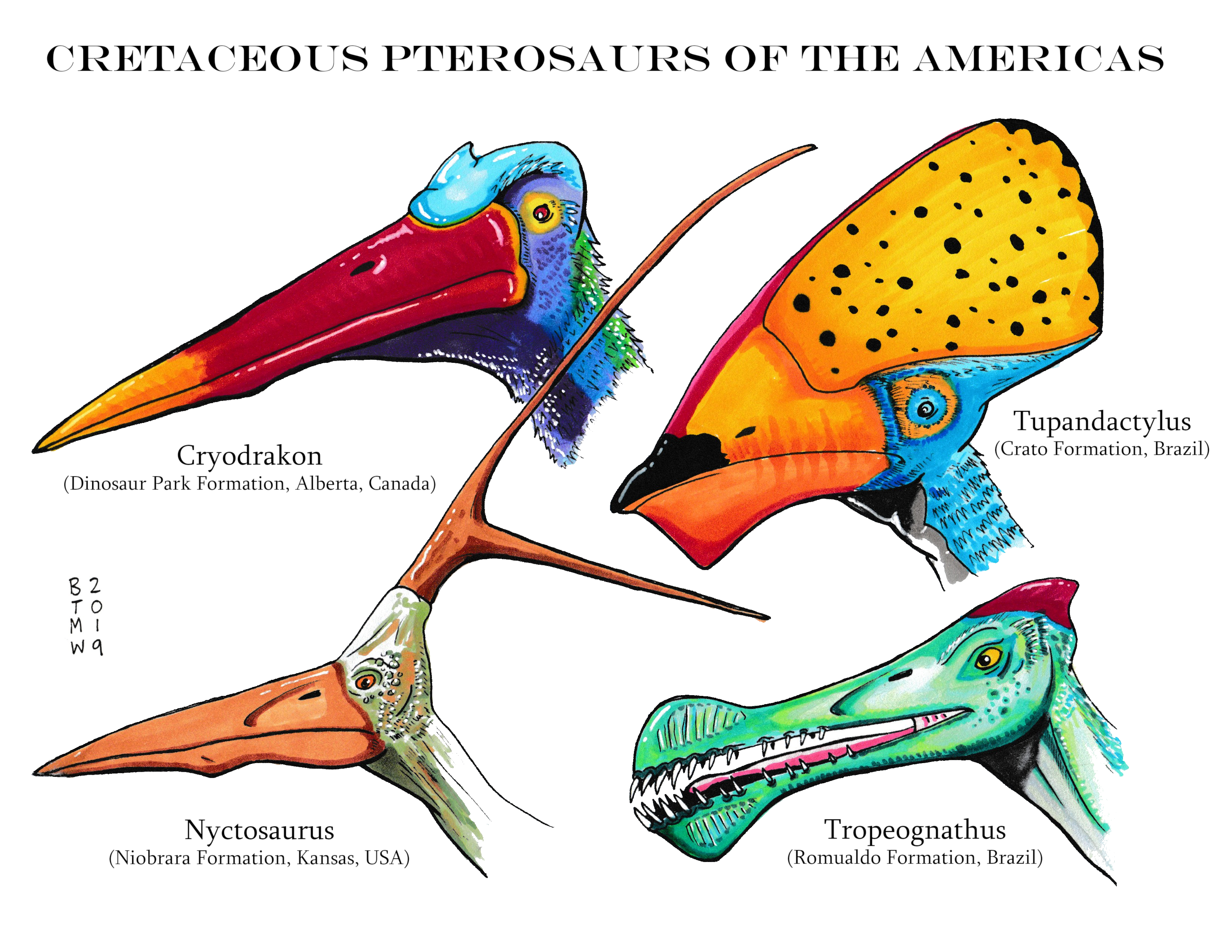 Tons of Pterosaurs - NWF