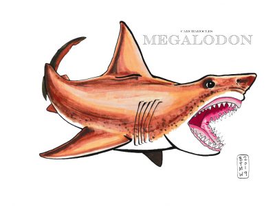 Megalodon_brownie-1